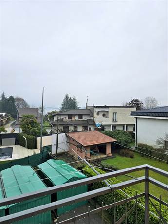 Vista